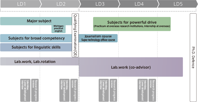 Curriculum